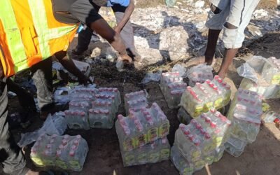 IGSAE INCINERA BEBIDAS ALCOÓLICAS IMPRÓPRIAS PARA CONSUMO HUMANO EM SOFALA