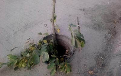 VANDALIZAÇÃO DE TAMPAS DE ESGOTO CONTINUA A SER UMA DAS GRANDES PREOCUPAÇÕES DO SASB